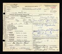 Carr, Erastus(Death Cert.)